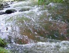 flowing stream